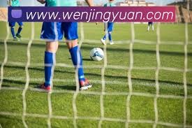 厄瓜多尔足球队的强势崛起与2026世界杯展望